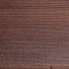 0005 Spruce burned and washed, Overview