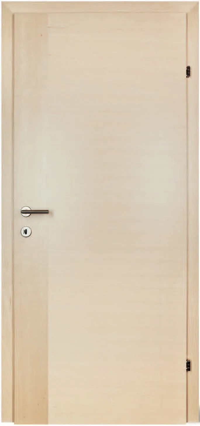 WoodDoor10, Interior Door