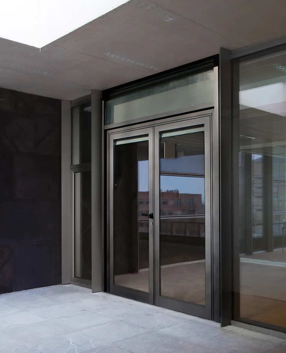 PastedGraphic 1 2, Millennium Plus 2000 Door